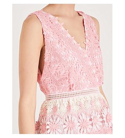 Shop Self-portrait Striped Floral Guipure-lace Dress In Pink