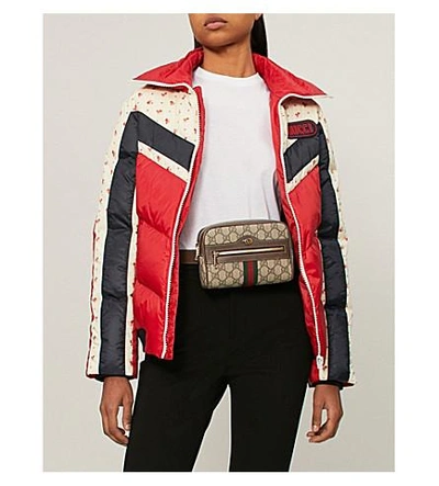 Shop Gucci Floral-print Padded Shell Jacket In Red/blue/white