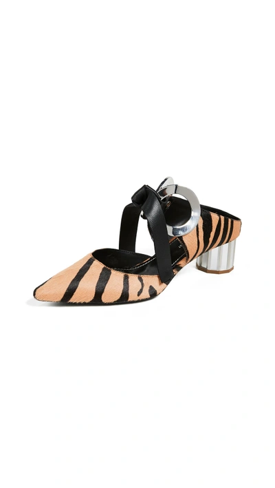 Shop Proenza Schouler Grommet Block Heel Pumps In Zebra