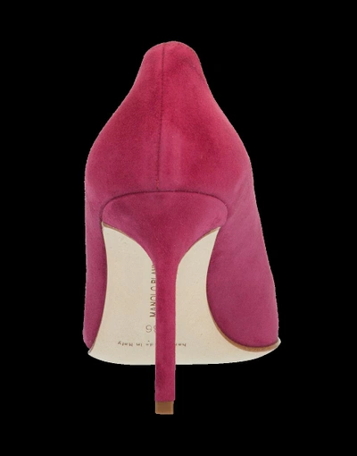 Shop Manolo Blahnik Bb Suede Pump In Raspbrry