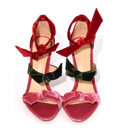 Shop Alexandre Birman Dusty Rose/rifle Green/flame Red Lolita Sandal In Multicolor