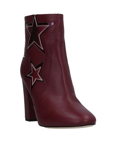 Shop Pinko Ankle Boots In Maroon