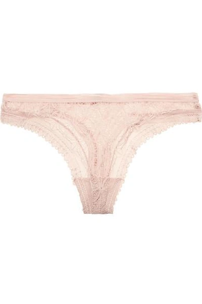 Shop Else Chloe Stretch-lace Thong In Pastel Pink