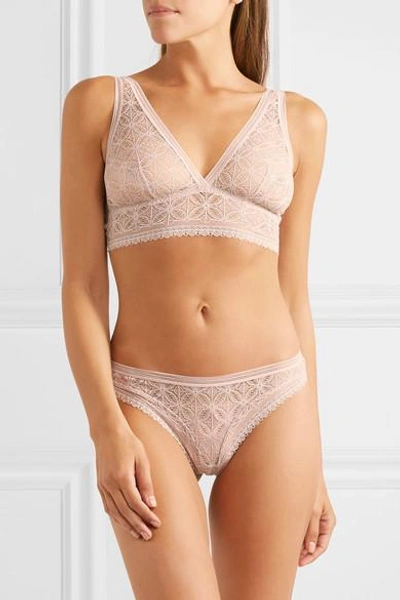Shop Else Chloe Stretch-lace Thong In Pastel Pink