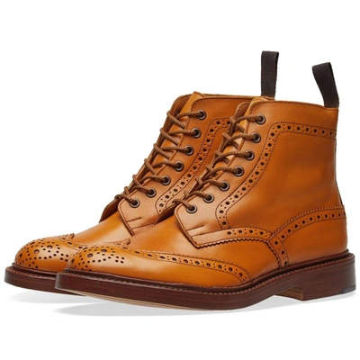 Shop Tricker's Stow Brogue Derby Boot In Brown