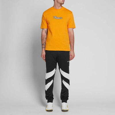 Shop Adidas Originals Adidas Palmeston Track Pant In Black