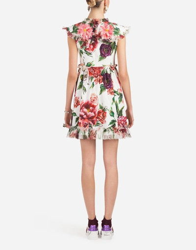 Shop Dolce & Gabbana Peony-print Cady Dress In Floral Print