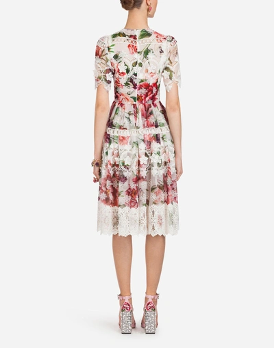 Shop Dolce & Gabbana Peony-print Silk Dress In Floral Print