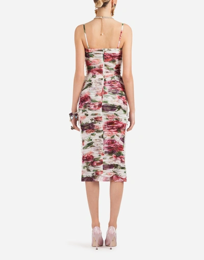 Shop Dolce & Gabbana Peony Print Dress In Tulle In Floral Print