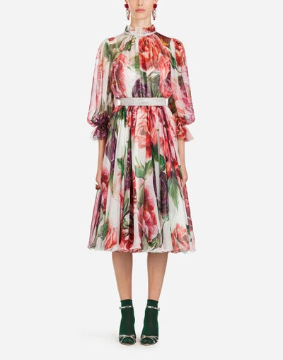Shop Dolce & Gabbana Peony Print Dress In Chiffon In Floral Print