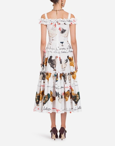 Shop Dolce & Gabbana Printed Poplin Dress In Cream