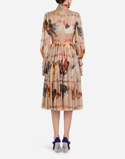 Shop Dolce & Gabbana Chiffon Dress In Beige