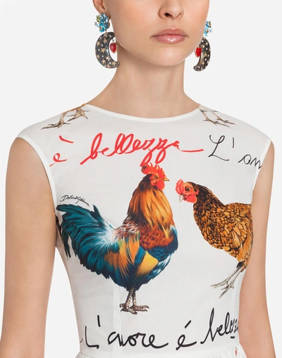 Shop Dolce & Gabbana Printed Poplin Dress In Cream
