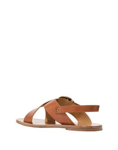 Shop Marc Jacobs Sandals In Brown