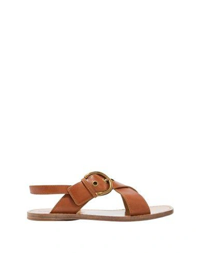 Shop Marc Jacobs Sandals In Brown