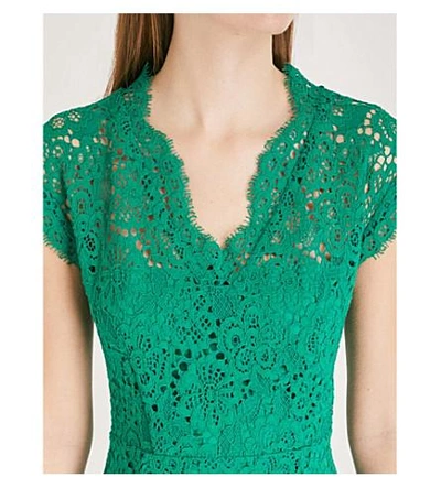 Shop Claudie Pierlot V-neck Floral-lace Dress In Dark Green