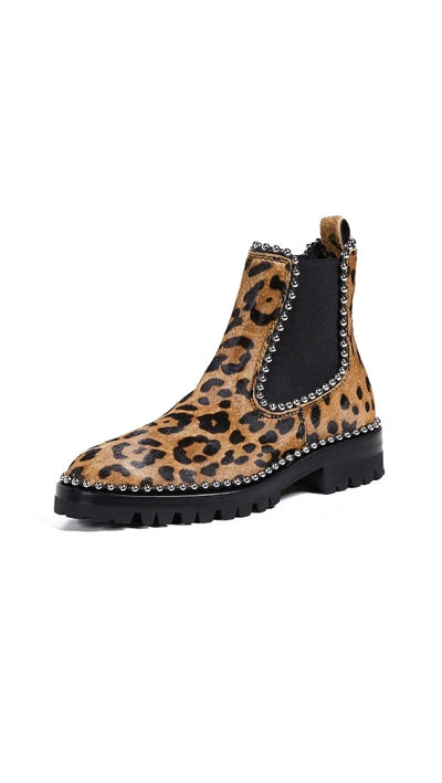Shop Alexander Wang Spencer Ball Chain Chelsea Boots In Leopard
