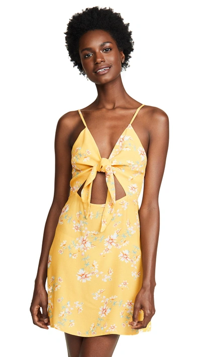 Shop Flynn Skye Bri Mini Dress In Touch Of Honey