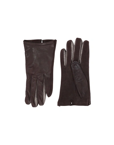 Shop Pollini Gloves In Dark Brown