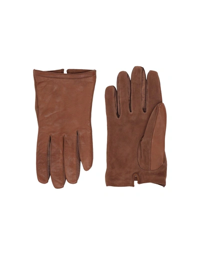 Shop Pollini Gloves In Brown