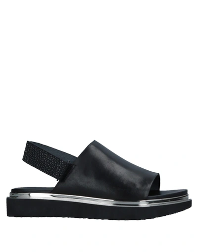 Shop United Nude Sandals In Black