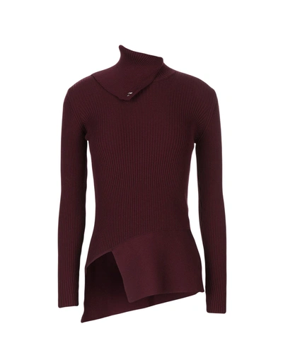 Shop Space Style Concept Turtlenecks In Maroon