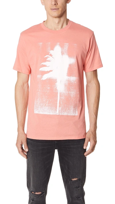 Shop Double Rainbouu Palms Tee In Coral