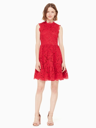 Shop Kate Spade Poppy Field Lace Dress In Lingonberry