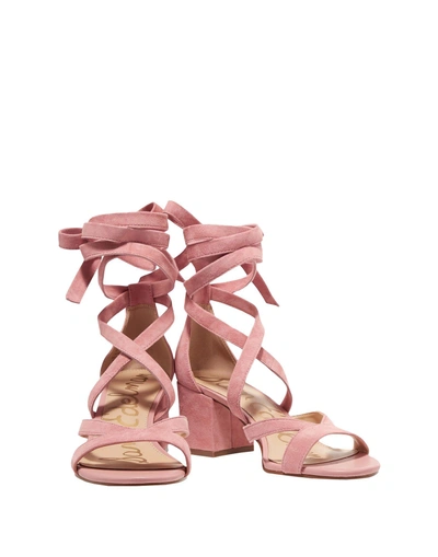 Shop Sam Edelman Sandals In Pink