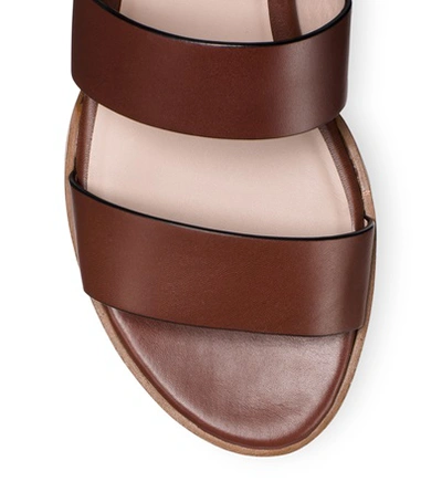 Shop Stuart Weitzman The Oasis Sandal In Cocoa Matte Leather