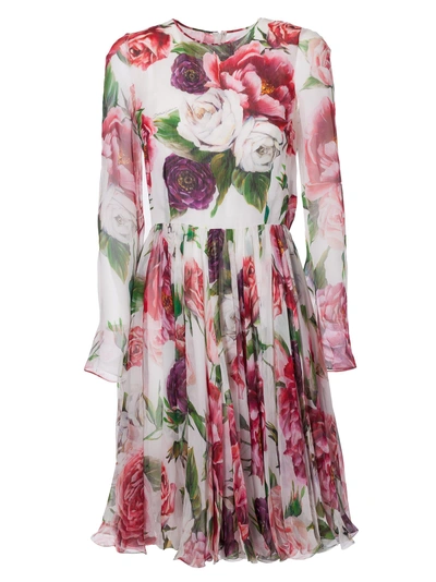 Shop Dolce & Gabbana Rose Print Pleated Dress In Peonie Fdo Panna