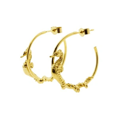 Lee Renee Seahorse Hoop Earrings – Gold