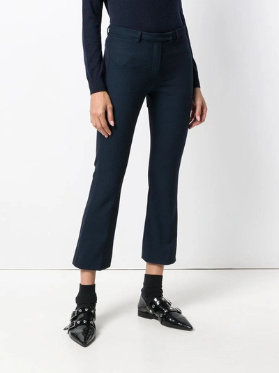 Shop Max Mara 's  Cropped Flared Trousers - Blue