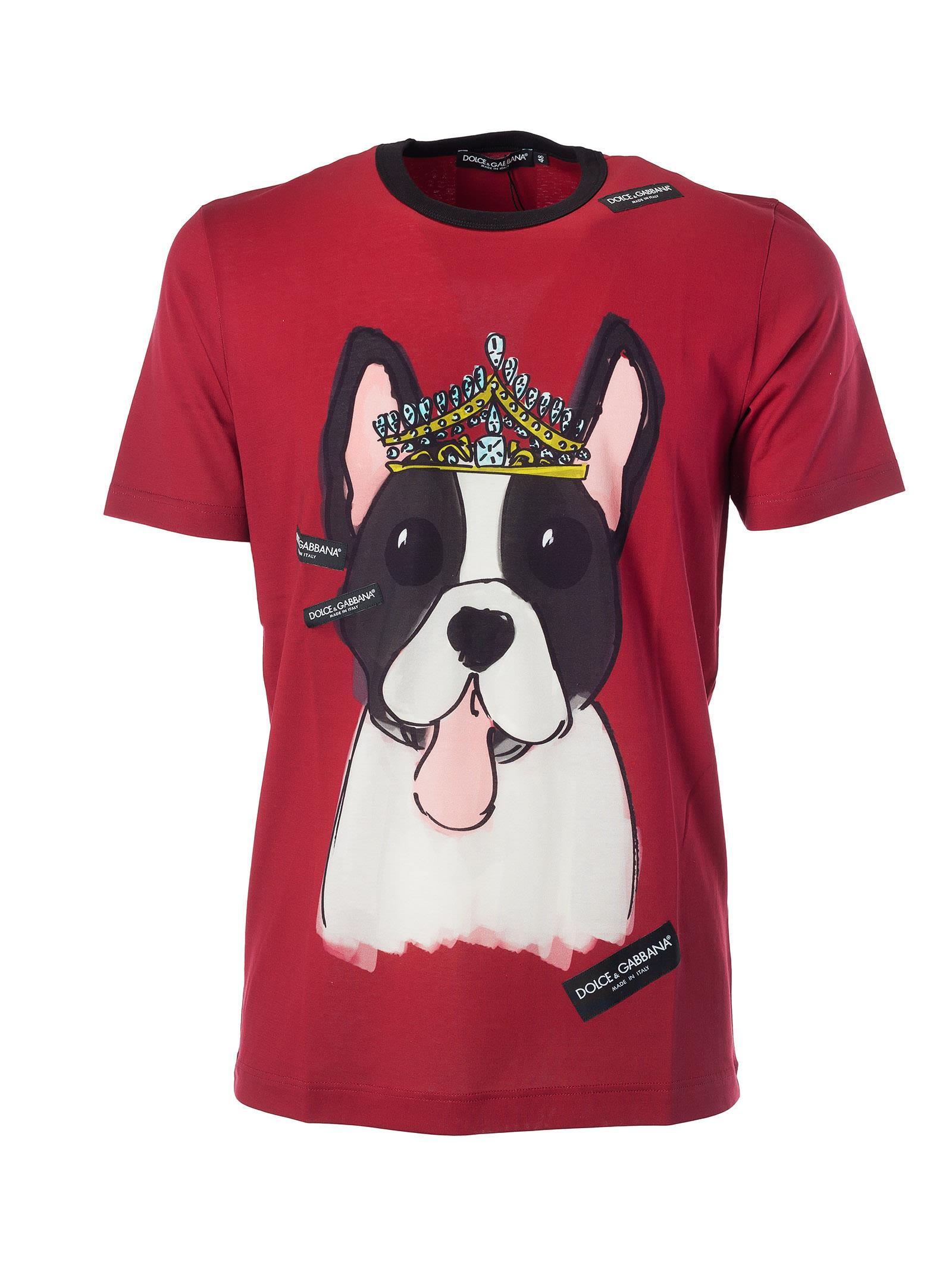Dolce \u0026 Gabbana Dog Print T-shirt In 