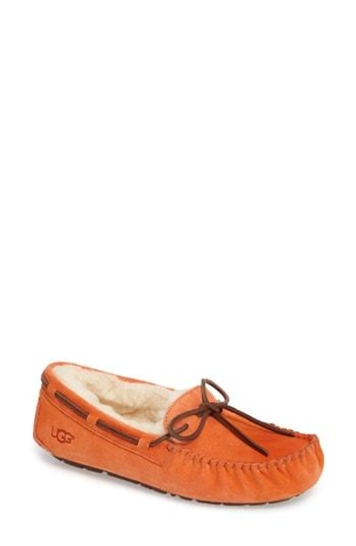 Shop Ugg Dakota Slipper In Fire Opal Suede