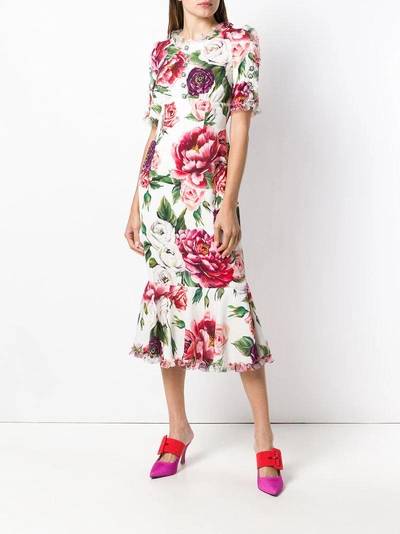 Shop Dolce & Gabbana Peony Print Dress - White