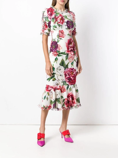 Shop Dolce & Gabbana Peony Print Dress - White