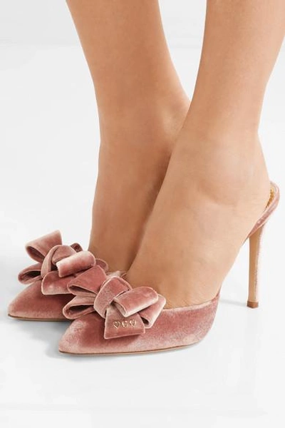 Shop Charlotte Olympia Stupendous Bow-embellished Velvet Mules In Pink