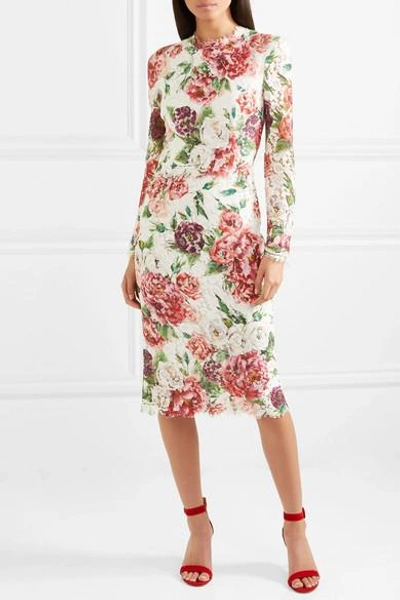 Shop Dolce & Gabbana Floral-print Corded Lace Midi Dress In Pink