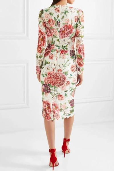Shop Dolce & Gabbana Floral-print Corded Lace Midi Dress In Pink