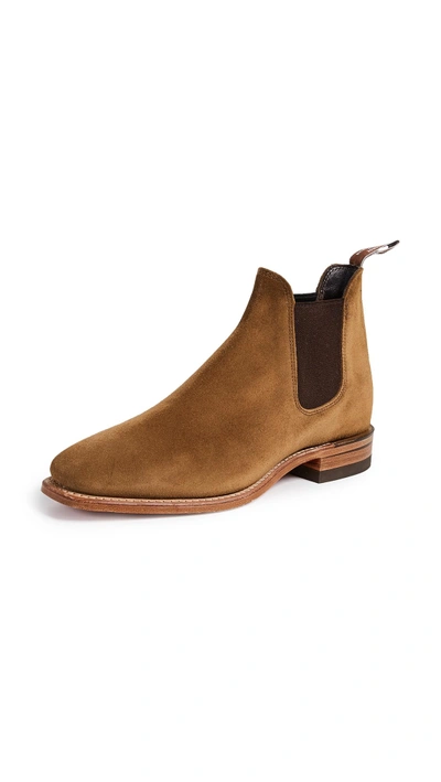 Shop R.m.williams Sydney Boots In Tobacco