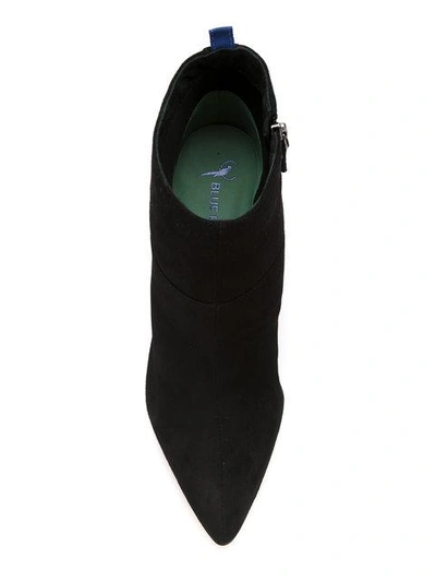 Shop Blue Bird Shoes Embroidered Suede Boots In Black