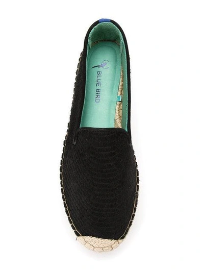 Shop Blue Bird Shoes Escamas Flatform Espadrilles In Black