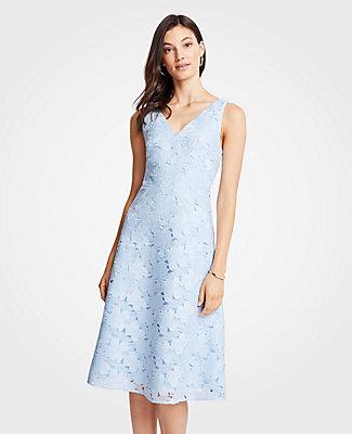 ann taylor lace dress
