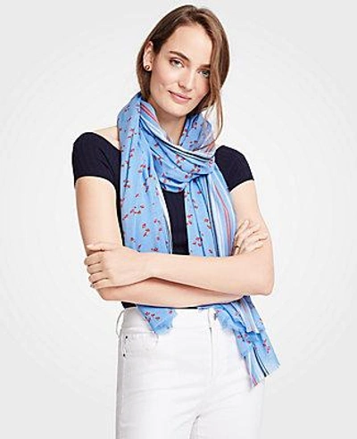 Shop Ann Taylor Lily Leaves Scarf In Clear Horizon