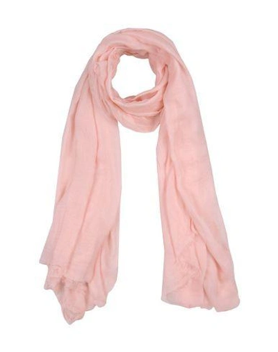 Shop Emporio Armani Scarves In Pink