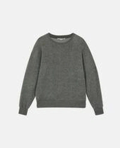 Shop Stella Mccartney Ian Gray Sweatshirt