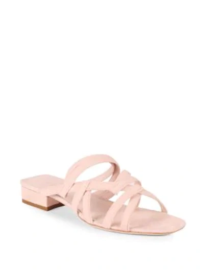 Shop Cushnie Et Ochs Liam Suede Strappy Flat Sandals In Blush