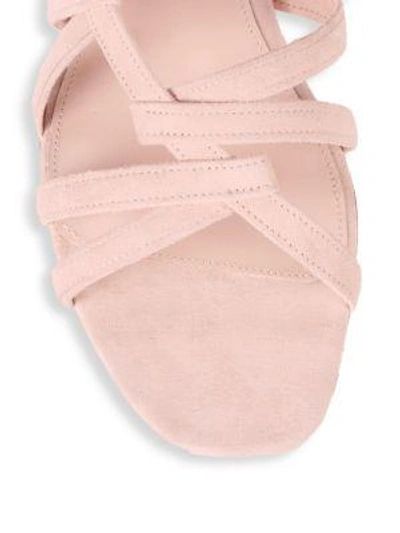 Shop Cushnie Et Ochs Liam Suede Strappy Flat Sandals In Blush