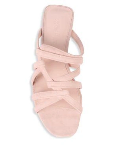 Shop Cushnie Et Ochs Liam Suede Strappy Flat Sandals In Blush